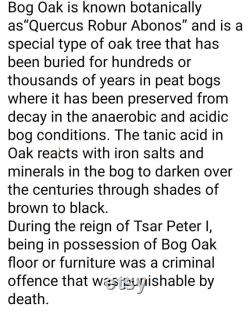 4,900 year old Bog Oak Fountain pen