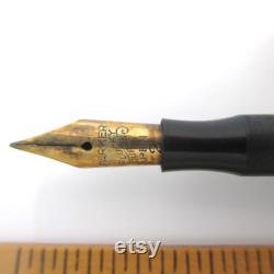 Antique Gold Overlay Fountain Pen with Parker Lucky Curve 2 Nib Vintage Eyedropper