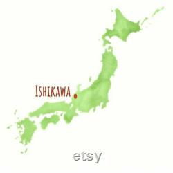 Exellent Maki-e Urushi Lacquer Fountain Pen Yamanaka lacquer Fuji Cherry Japan