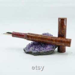 Fountain Pen Handmade English Elm Burr Wood and Resin Hybrid