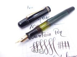 Green Pelikan 100N Fountain Pen Flex Nib restored