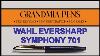 Wahl Eversharp Symphony Fountain Pen